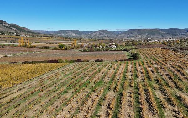 Maison à vendre    10 pièces • 340 m2 Alba-la-Romaine