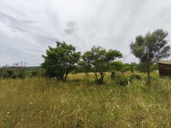 Terrain à vendre |  Saint-Georges-d'Orques |  3690 m²