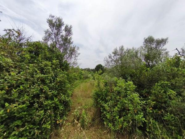 Terrain à vendre |  Saint-Georges-d'Orques |  3690 m²