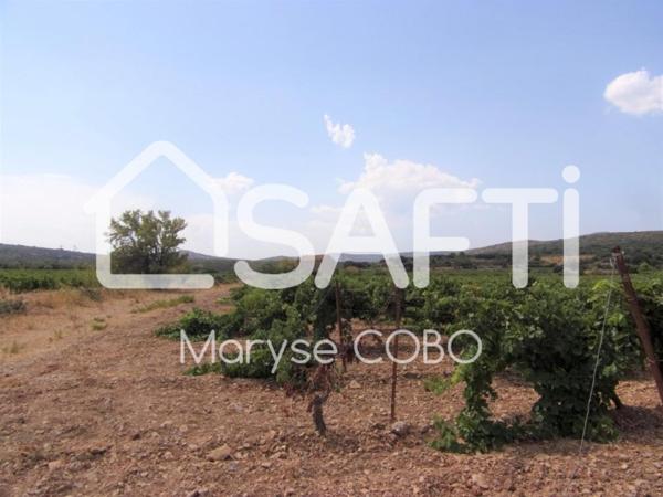 À vendre : Terrain de plus de 2,3 ha à Fitou,