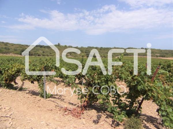 À vendre : Terrain de plus de 2,3 ha à Fitou,