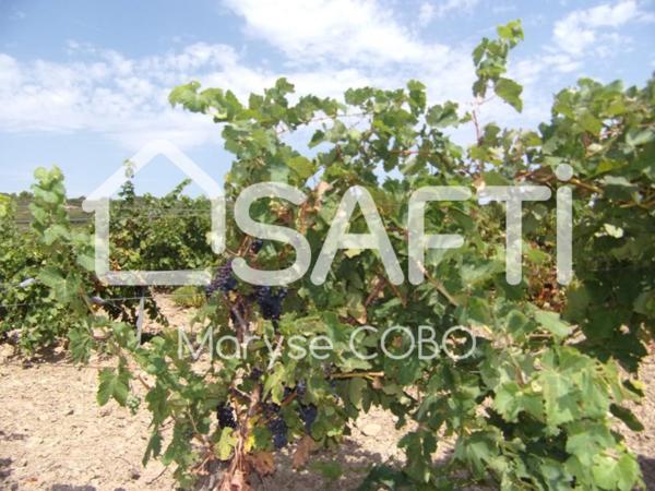 À vendre : Terrain de plus de 2,3 ha à Fitou,