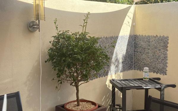 Appartement à vendre    2 pièces •  Porto-Vecchio