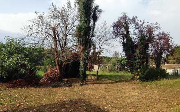 Maison à vendre    5 pièces •  Peyrehorade