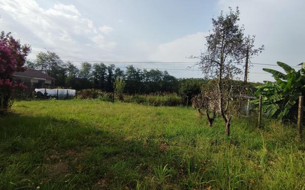 Maison à vendre    5 pièces •  Peyrehorade