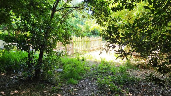 Appartement F3 avec jardin