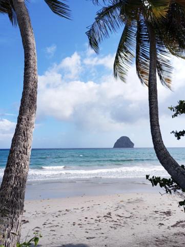 Opportunité, Studio Le Diamant  de 24 m2