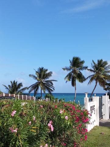 Opportunité, Studio Le Diamant  de 24 m2
