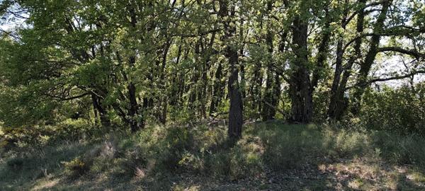 Charme et nature aux portes de l’Ardèche – Mas en pierre sur 2,7 hectares Barjac (30430)