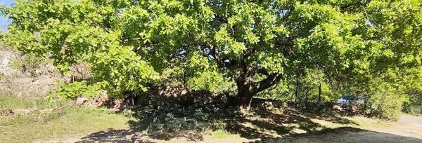 Charme et nature aux portes de l’Ardèche – Mas en pierre sur 2,7 hectares Barjac (30430)