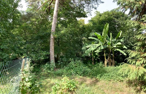 Vente / Maison ancienne