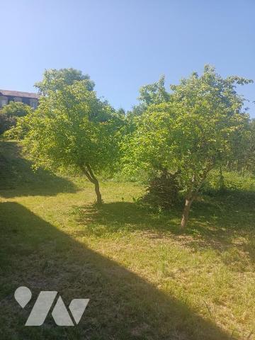 TAB - VARENNES EN ARGONNE