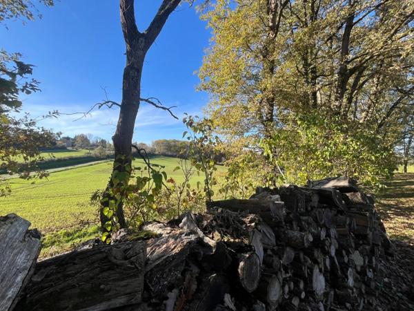 MARCIAC (32) proche, MAISON DE CHARME construite en 1980, dominante, 130m2 habitables, un peu cachée, vue , 4 chambres, grand sejour, 3700m2 terrain arboré de chênes