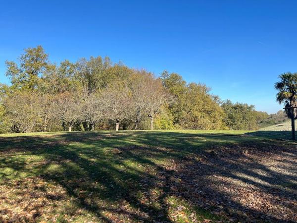 MARCIAC (32) proche, MAISON DE CHARME construite en 1980, dominante, 130m2 habitables, un peu cachée, vue , 4 chambres, grand sejour, 3700m2 terrain arboré de chênes