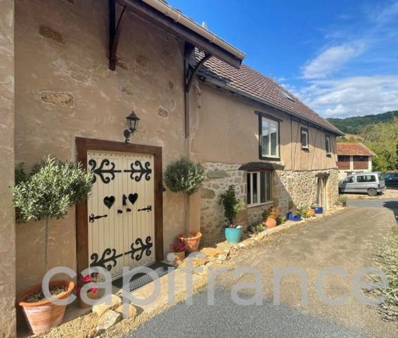 Longère de caractère avec 4 chambres et un studio/gite, secteur Beaulieu sur Dordogne