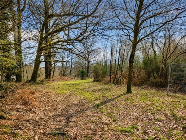Grange à vendre à Dournazac (87230) - Haute-Vienne