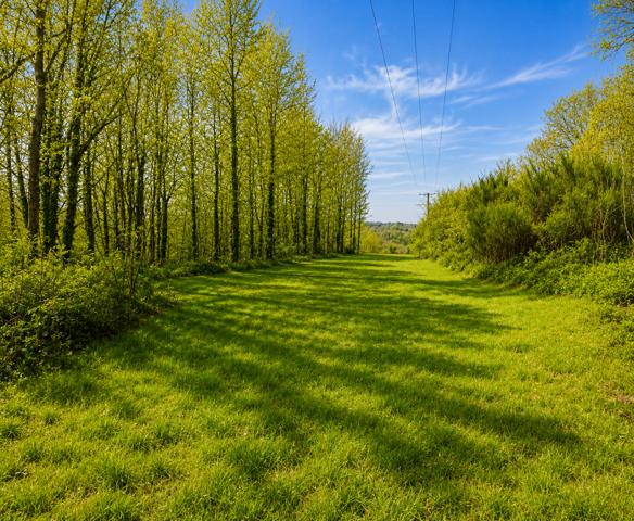 Grange à vendre à Dournazac (87230) - Haute-Vienne