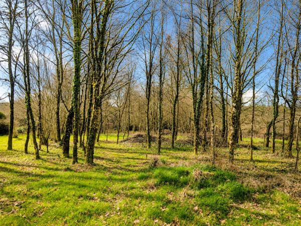 Grange à vendre à Dournazac (87230) - Haute-Vienne