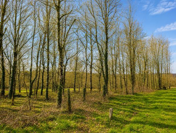 Grange à vendre à Dournazac (87230) - Haute-Vienne