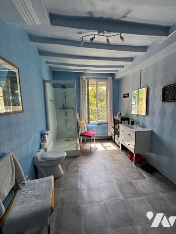 A vendre ensemble immobilier de charme avec activité touristique.