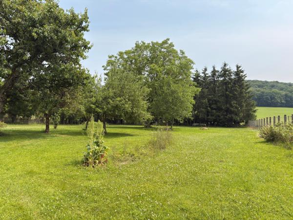 Maison ancienne de 150 m2, 5 ch, dépendance, terrain de 3874 m2.