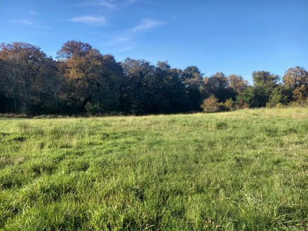 terrain 0 pièces 4440m² à vendre à Hagetmau
