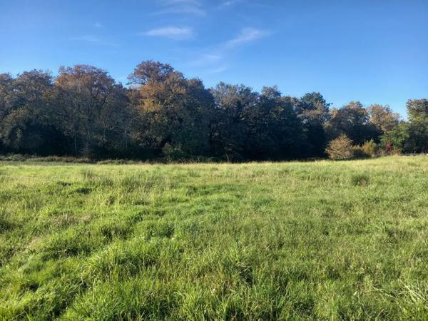 terrain 0 pièces 4440m² à vendre à Hagetmau