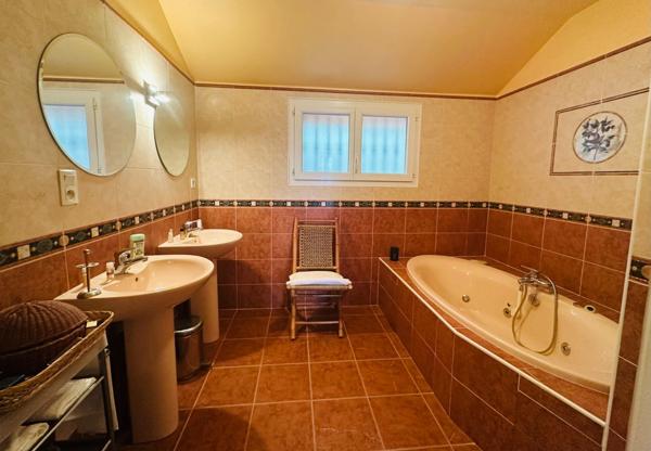 Maison à vendre 295 m2 CHANCIA (01)