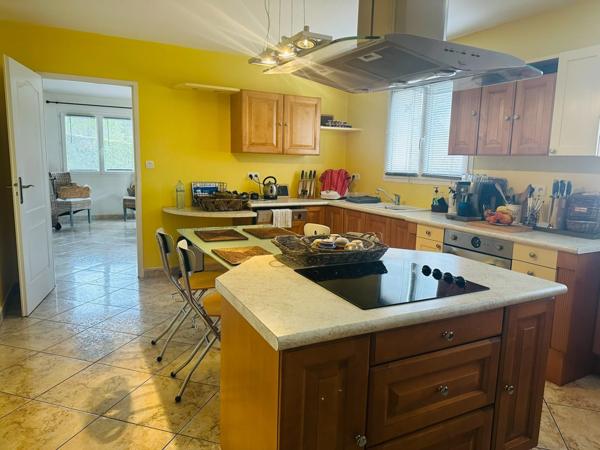 Maison à vendre 295 m2 CHANCIA (01)