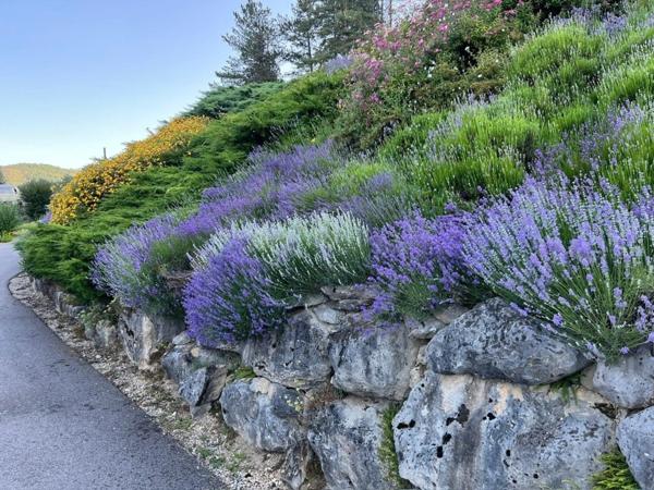 Maison à vendre 295 m2 CHANCIA (01)