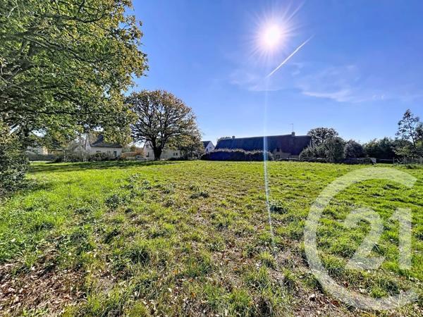 Terrain à vendre  1338 m 2   ST LYPHARD  - 44
