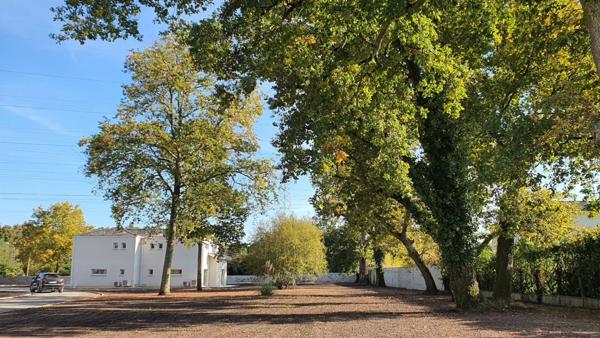 Maison à louer    4 pièces •  Pessac