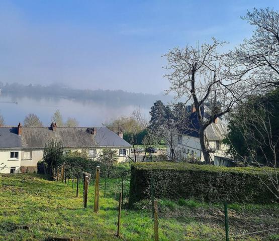 Maison en bord de Loire et proche centre ville - Saumur (49400)