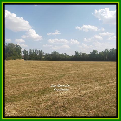 Terrain bâtissable à vendre   de 3000 m2 SEMUR EN AUXOIS (21)