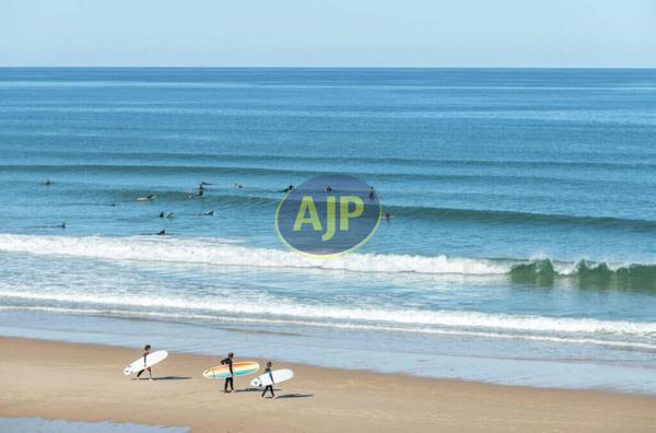 Vente appartement Lacanau : 189 000 € - AJP ACTEA Talence