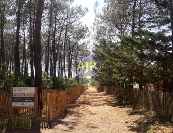 Vente appartement Lacanau : 189 000 € - AJP ACTEA Talence