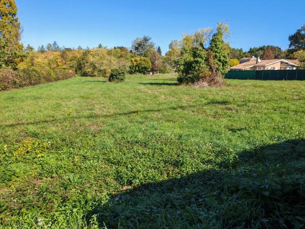 Terrain constructible