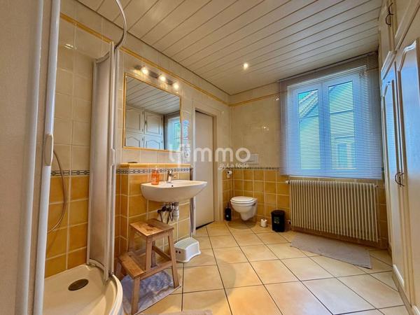 À vendre à Sélestat – Élégante maison de maître avec jardin arboré