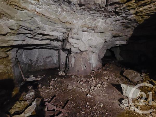 Maison à vendre  14 pièces - 501 m2 ST GERVAIS LES TROIS CLOCHERS - 86