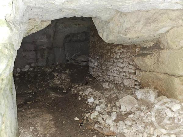 Maison à vendre  14 pièces - 501 m2 ST GERVAIS LES TROIS CLOCHERS - 86