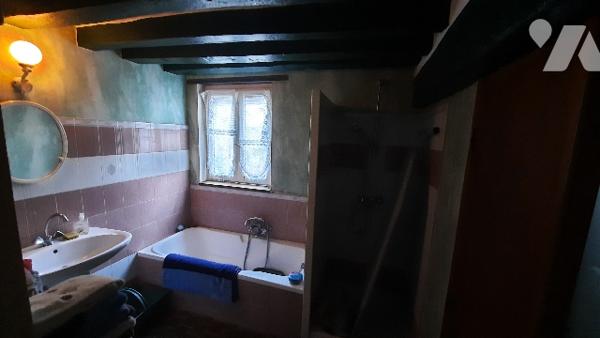 Charmante maison de ville sur 3 niveaux avec joli terrain de 280 m2 arboré en partie arrière.