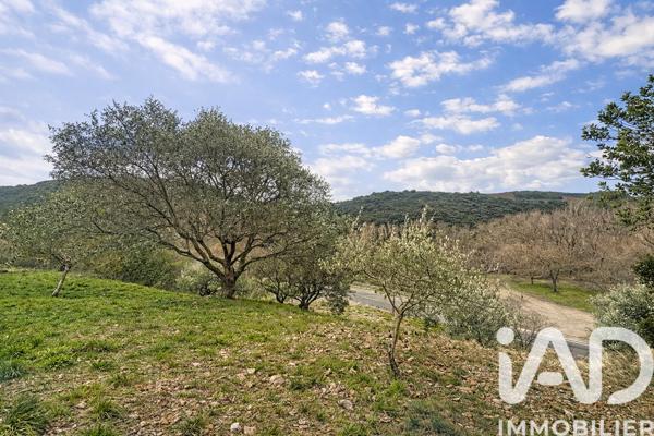 Terrain à vendre 910 m² Roquebrun
