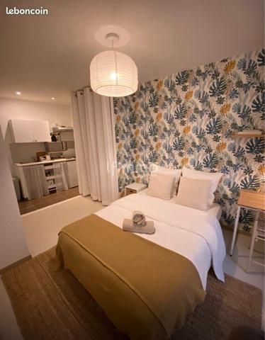 Montpellier centre - Maison ou 4 studios