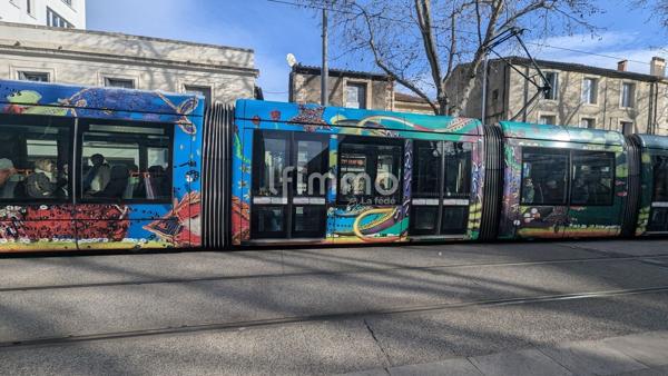 Montpellier centre - Maison ou 4 studios