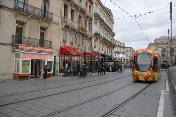Montpellier Comédie-Location meublée T2 avec cour privée