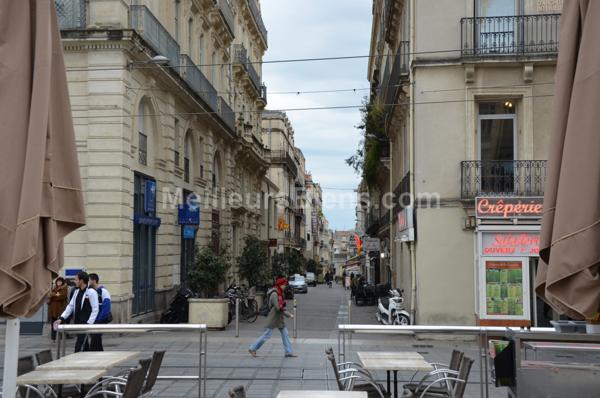 Montpellier Comédie-Location meublée T2 avec cour privée