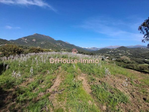 Terrain à vendre 4 pièces de 1 000 m²