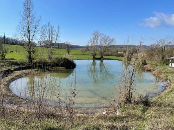 Beau domaine de 40 ha, maison d'amis et piscine