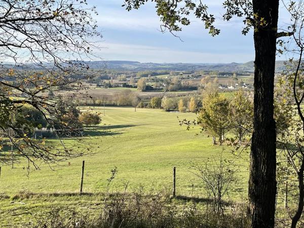 Beau domaine de 40 ha, maison d'amis et piscine