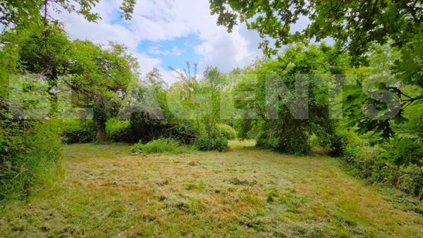 Opportunité RARE sur le secteur : Propriété sur 6300 m² avec bâtisse 220 m² sur SOUS-SOL et caves / 